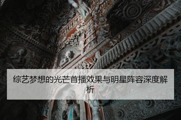 综艺梦想的光芒首播效果与明星阵容深度解析